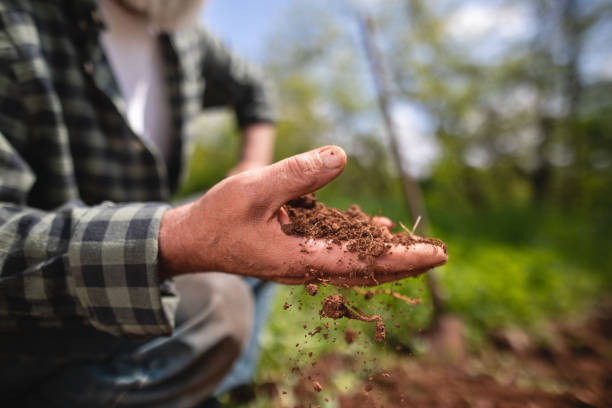 istock Unrecognizable man holding a handful of dirt 1152092237