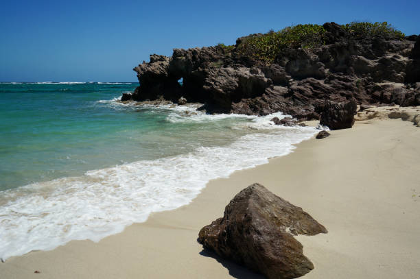 istock Anse Grosse-Roche in Martinique 1152094595