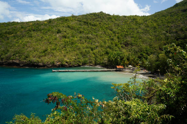 istock Anse Noire in Martinique 1152094597