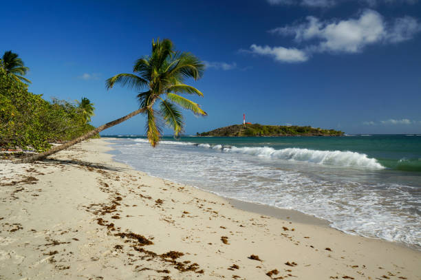 Ilet Cabrits in Martinique