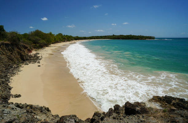 Little-Anse des Salines in Martinique