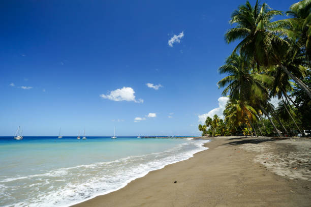 Volcanic grey sand beach at Le Carbet, Martinique
