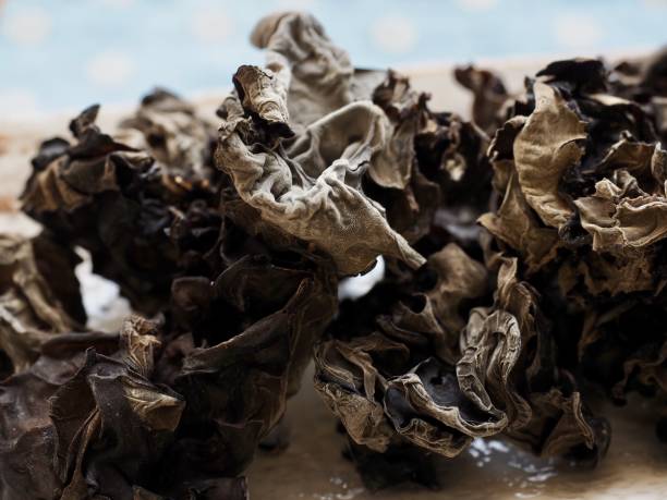 istock Asian food Dried tree ear mushroom 1152102079