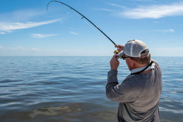 istock Reeling in a Fish on Gulf of Mexico 1152104160