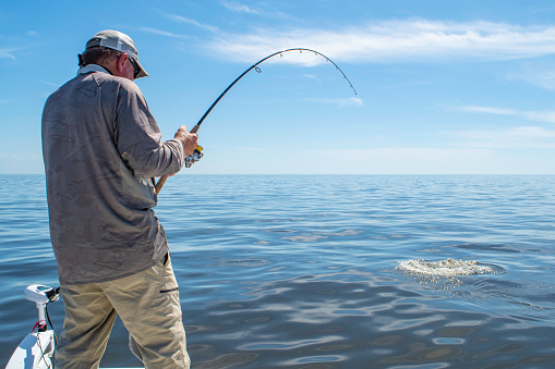 A fisherman sets the hook on a large fish in the Gulf of Mexico