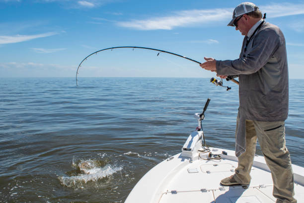 istock Landing a Large Fish on Gulf of Mexico 1152104175