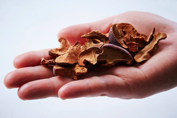 istock Chinese herbal medicine 1152109232