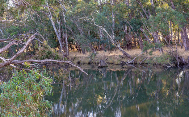 istock Sunrise On A River Landscape 1152110203