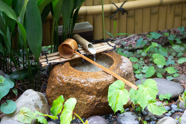 Beautifully designed and landscaped backyard waterfall and pond.