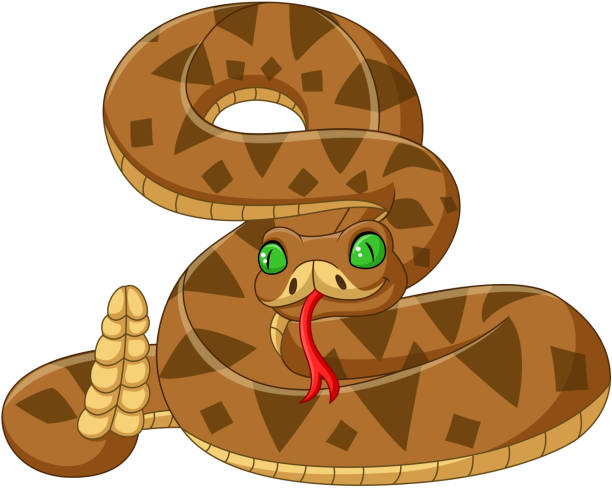 ilustraciones, imágenes clip art, dibujos animados e iconos de stock de serpiente marrón de dibujos animados sobre fondo blanco - snake rattlesnake poisonous organism fang