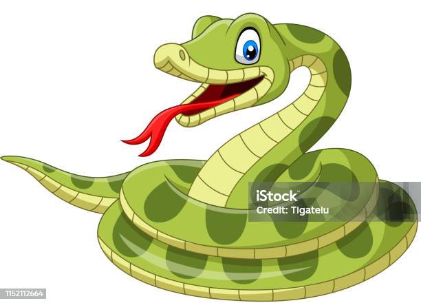 Ilustración de Serpiente Verde De Dibujos Animados Sobre Fondo Blanco y más  Vectores Libres de Derechos de Anaconda - Boa - iStock