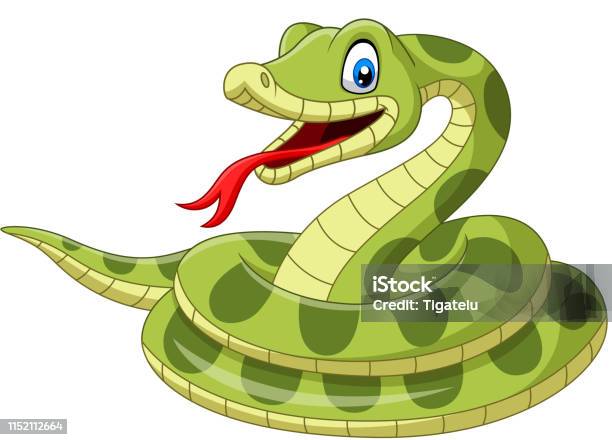 Ilustración de Serpiente Verde De Dibujos Animados Sobre Fondo Blanco y más Vectores Libres de Derechos de Anaconda - Boa - iStock Ilustración de Serpiente Verde De Dibujos Animados Sobre Fondo Blanco y más Vectores Libres de Derechos de Anaconda - Boa - iStock
