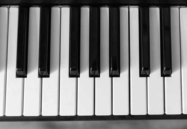 istock Black and white keys close-up, piano, keyboard, accordion 1152117113