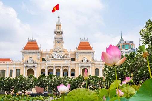 Saigon City Hall (or Ho Chi Minh City People's Committee) with pink lotus flowers and blooming plumeria trees in the foreground (blurred). One of the top tourist attractions of the city. Vietnam 2019.