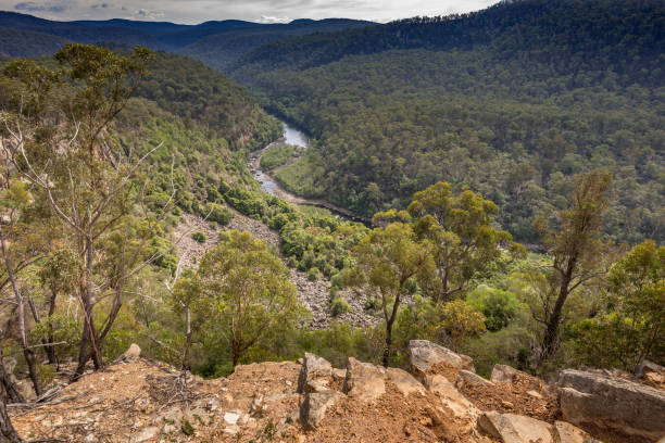 istock Mitchell River in Victoria, Australia on an overcast day. 1152118990