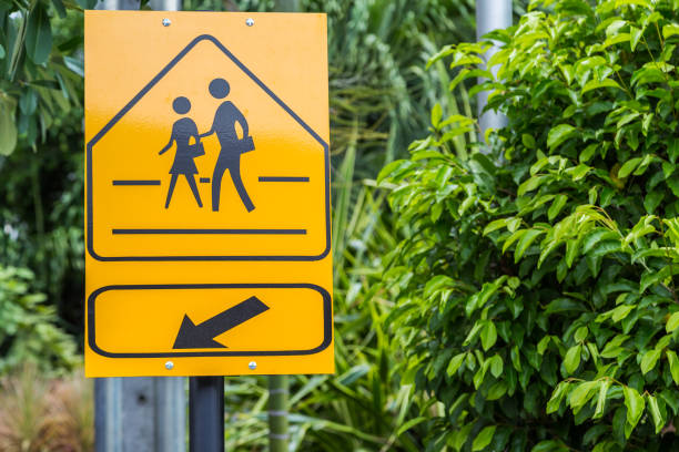 istock Traffic sign School warning sign here with green leaf 1152118996