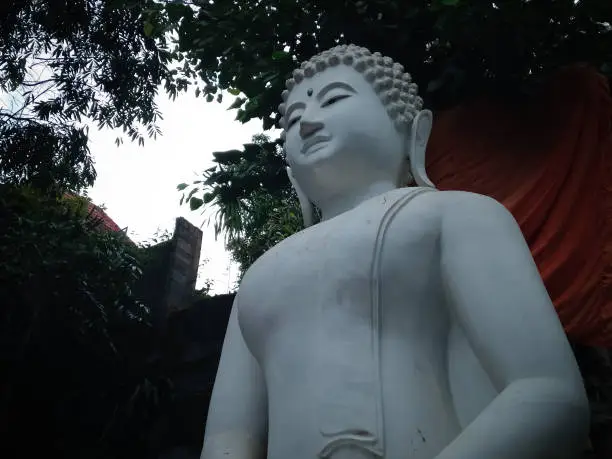 Bottom View Big White Buddha Statue Under The Tree At Buddhist Monastery At Banjar Tegeha Village, North Bali, Indonesia