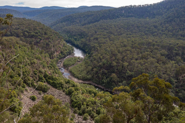 istock Mitchell River in Victoria, Australia on an overcast day. 1152119009