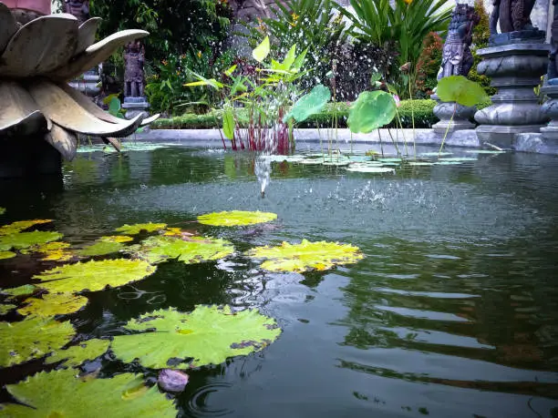 Lotus Garden Pond Fountain In The Yard Of Buddhist Temple In Bali, Indonesia