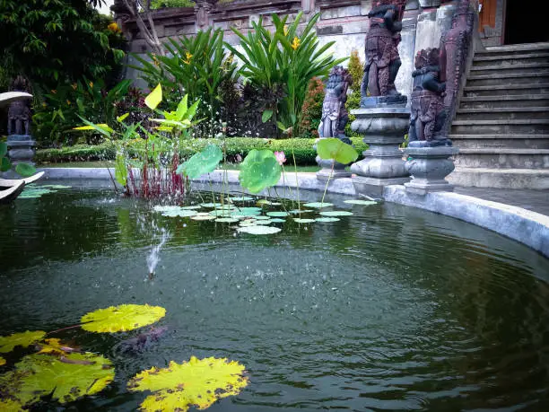 Peaceful Place Of The Lotus Garden Pond Fountain In The Yard Of Buddhist Monastery At Banjar Tegeha Village, North Bali, Indonesia