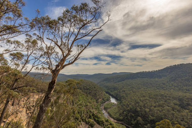 istock Mitchell River in Victoria, Australia on an overcast day. 1152119769