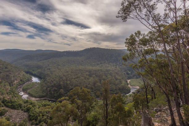 istock Mitchell River in Victoria, Australia on an overcast day. 1152119793