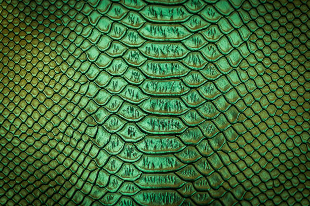 istock close up of snake skin texture 1152119840