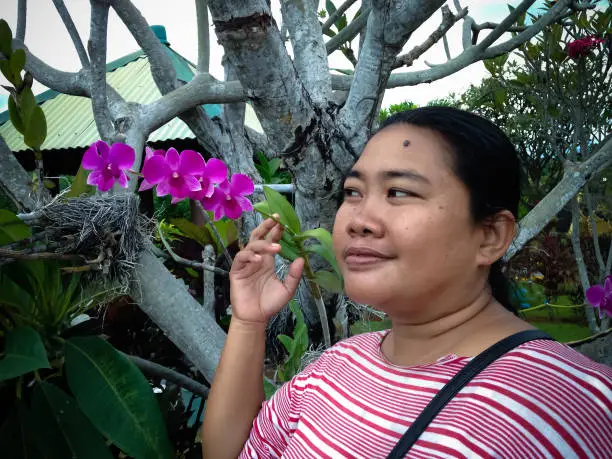 Woman looking at Purple Orchid Flowers of The Garden Plant, North Bali, Indonesia