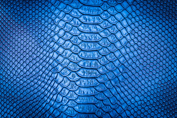 istock close up of snake skin texture 1152119887