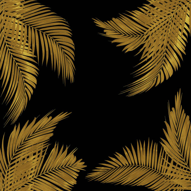 istock frame for text made from green palm leaf isolated on  white background 1152120880