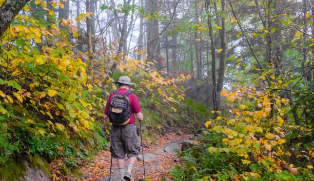 senior-mann wandert auf appalachenweg - great smoky mountains great smoky mountains national park mountain fog stock-fotos und bilder