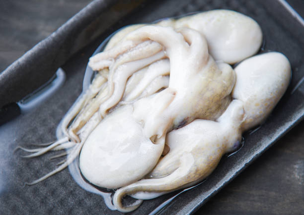 istock Fresh octopus raw squid seafood on tray 1152122368
