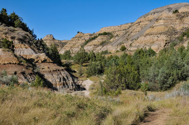 istock Theodore Roosevelt NP - North Unit Beginning the Caprock Coulee Trail 1152123318