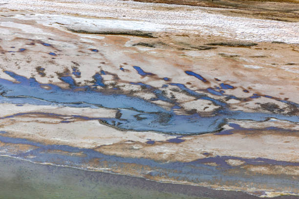 istock Kati Thanda-Lake Eyre, South Australia, Australia 1152124885