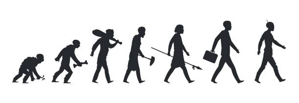 ilustrações, clipart, desenhos animados e ícones de silhueta da evolução humana. macaco e homem das cavernas do monkey ao conceito de crescimento do homem de negócios. desenvolvimento e evolução da humanidade do vetor - mankind