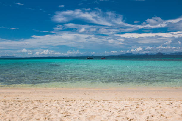 istock Bamboo Island, Krabi Province. Thailand 1152137086
