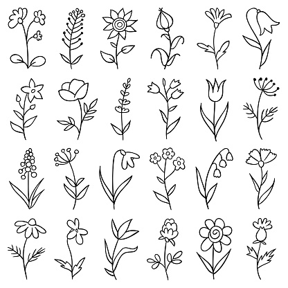 Set of hand drawn flowers. Doodle design elements.