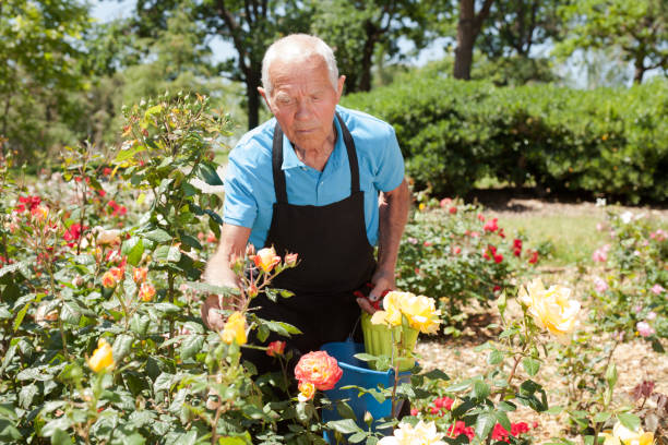istock Man holding bucket and watering can 1152138178