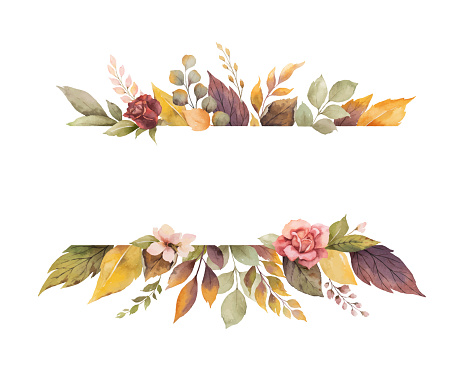 Watercolor vector autumn banner with roses and leaves isolated on white background. Illustration for greeting cards, wedding invitations, floral poster and decorations.