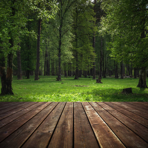 Wooden floor on foreground, and green summer forest on background