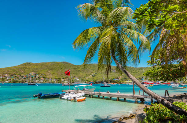 Palm tree on Bequia Island. Bright and colorful image of Bequia. Palm trees at the water, blue sky and white clouds, boats in the harbor of Port Elisabeth. Saint Vincent and the Grenadines. saint vincent and the grenadines stock pictures, royalty-free photos & images