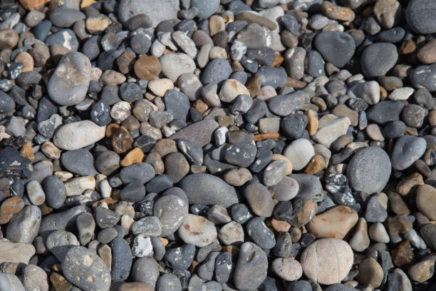 istock The Western coast of Denmark 1152143253
