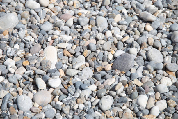 istock The Western coast of Denmark 1152143254