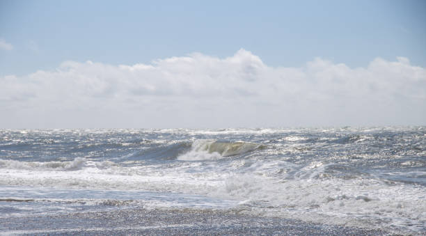 istock The Western coast of Denmark 1152143261