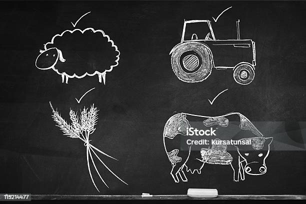 Agricultura De Lições - Fotografias de stock e mais imagens de Agricultura - Agricultura, Quadro Negro, Educação