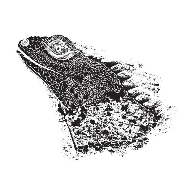 The head of the iguana. Reptiles. Isolated vector illustration. Perfect for shirt or t-shirt design, brand logo, tattoo and decoration