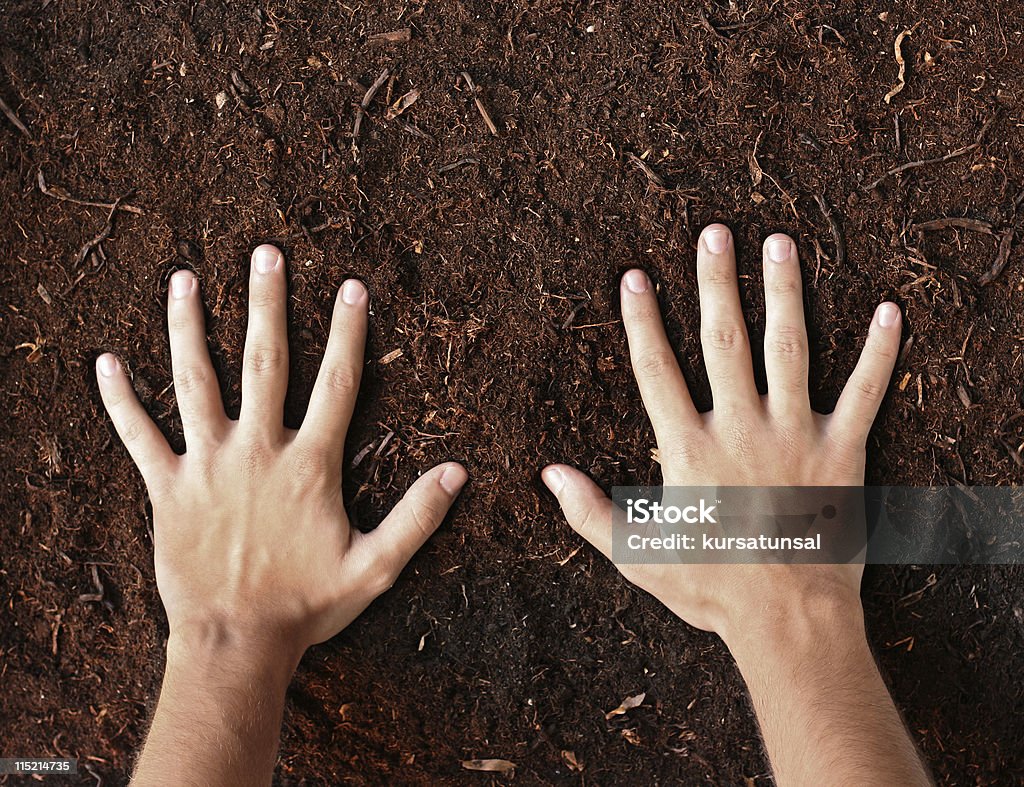 Mãos no solo - Foto de stock de Dedo humano royalty-free