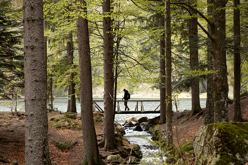 Silueta oscura del hombre caminando por el puente de madera en el bosque. Lago de montaña y arroyo. Senderismo en el bosque. Sendero de senderismo Natur Park. Bosque negro. Schwarzwald, Alemania. photo