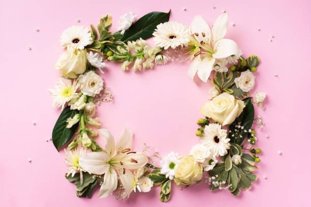 istock Spring composition of white flowers on pink paper background with copy space. Creative layout. Flat lay. Top view. Summer minimal concept. 1152149995