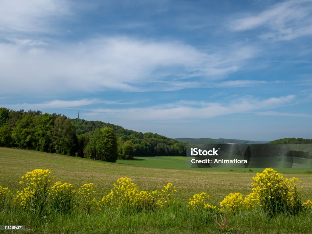 Green Landscape in Franconia Bavaria Germany Agricultural Field Stock Photo